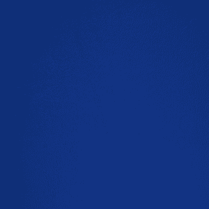 54" Seaquest Marine Cushion Vinyl Royal