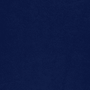 54" Seaquest Marine Cushion Vinyl Midnight