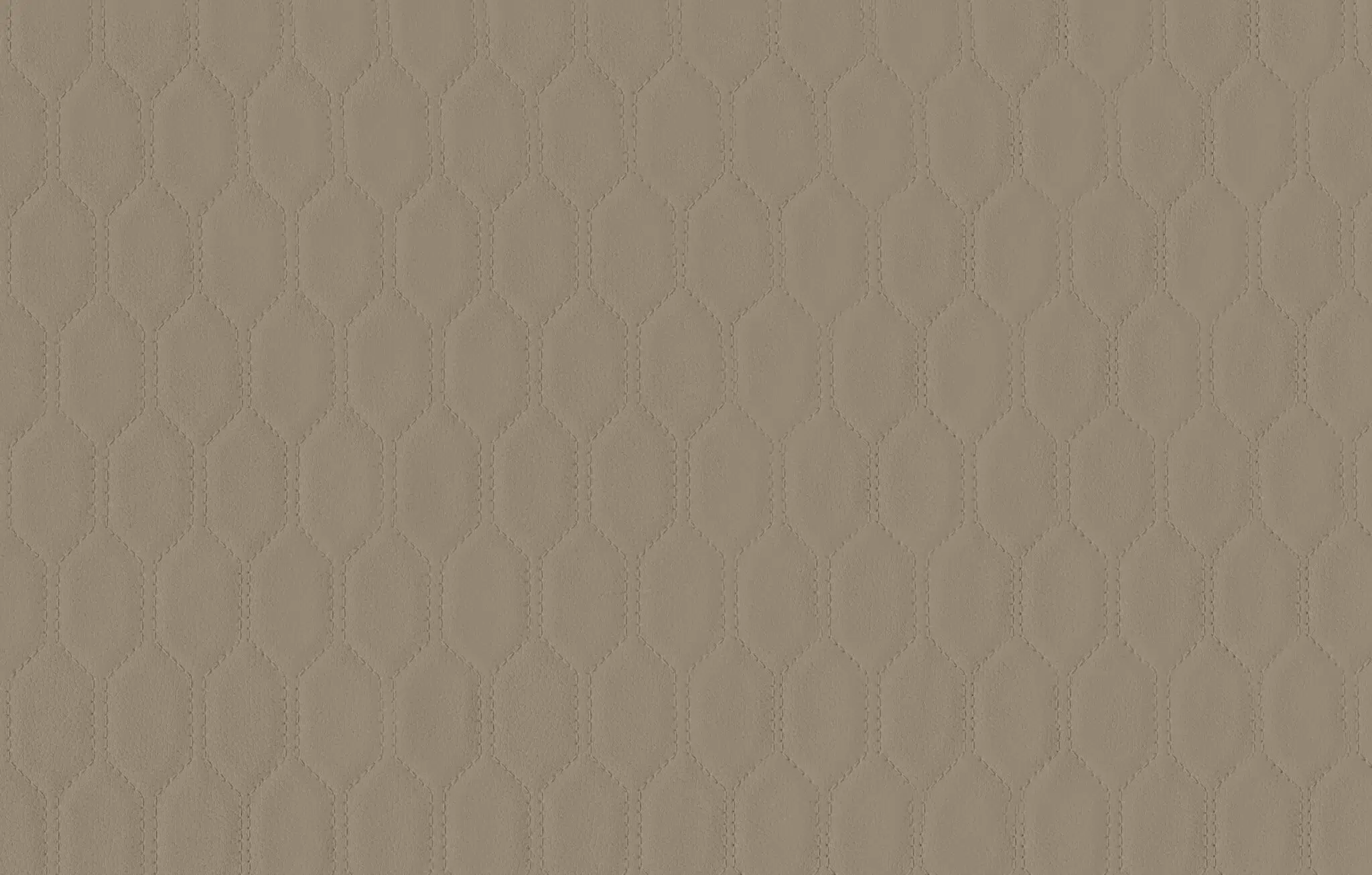 54" Fractal Marine Cushion Vinyl Sand Dollar